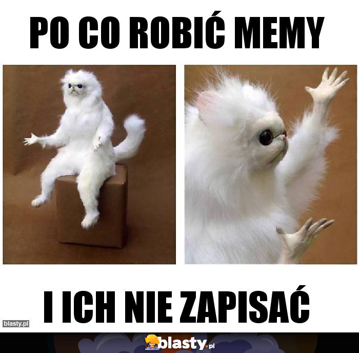 Po co robić memy