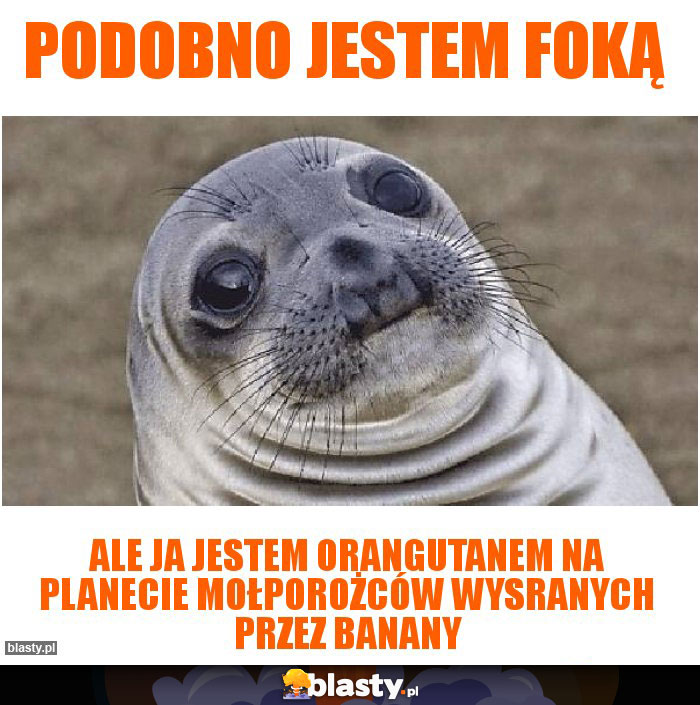 Podobno jestem foką