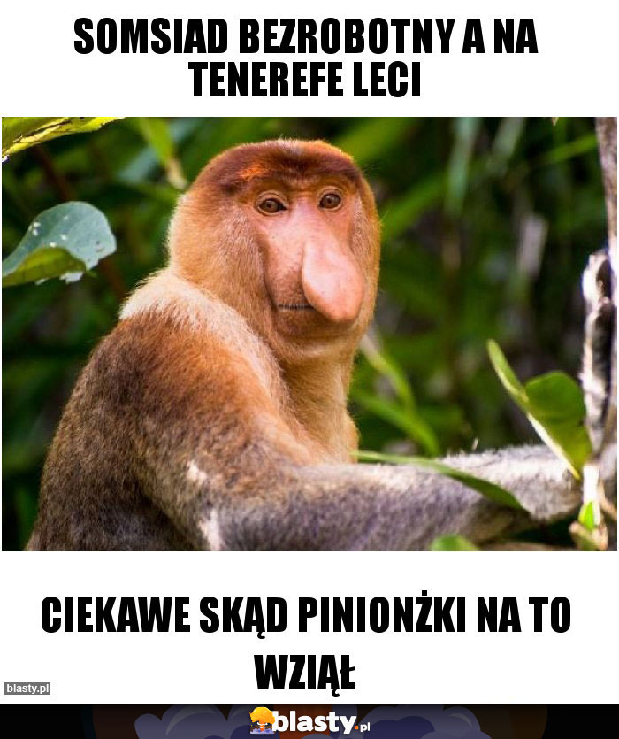 Somsiad bezrobotny a na tenerefe leci