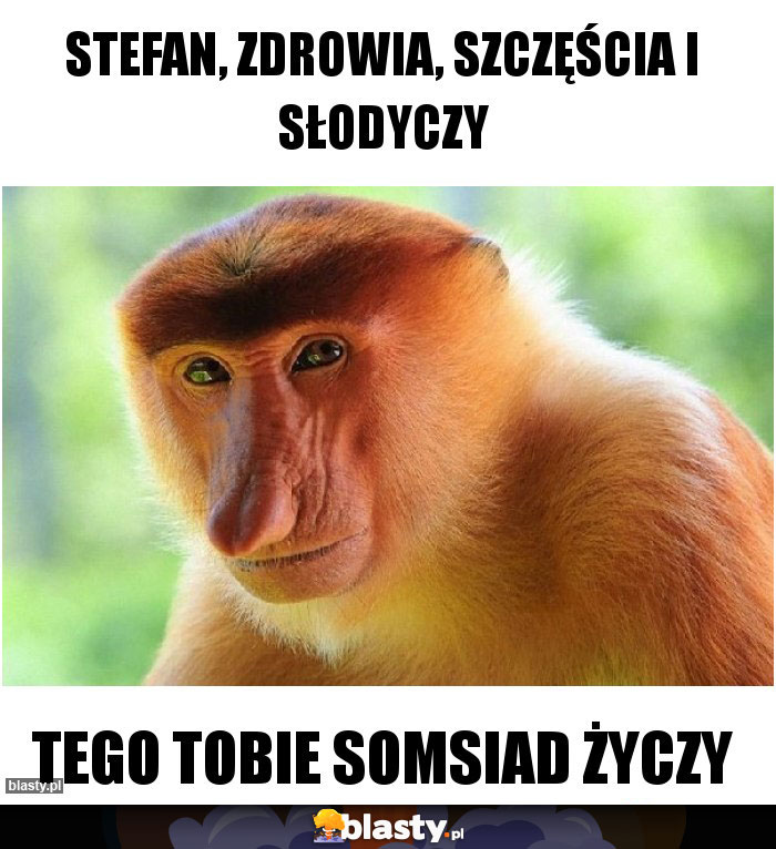 STEFAN, ZDROWIA, SZCZĘŚCIA I SŁODYCZY