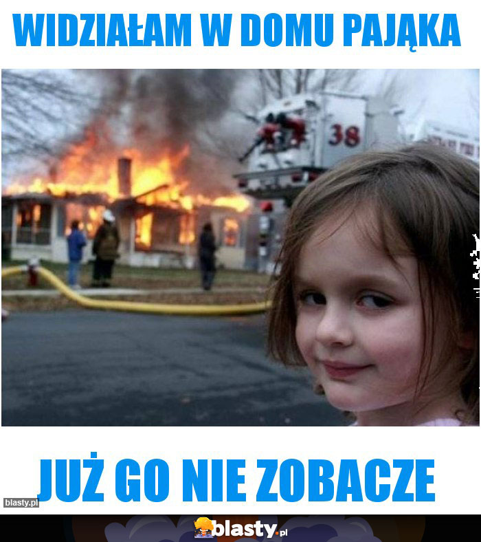 Widziałam w domu pająka