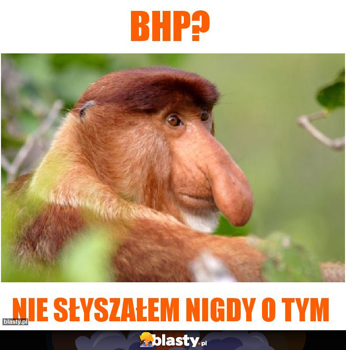 BHP?