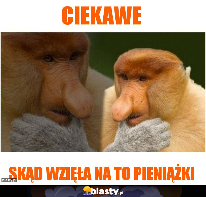 Ciekawe