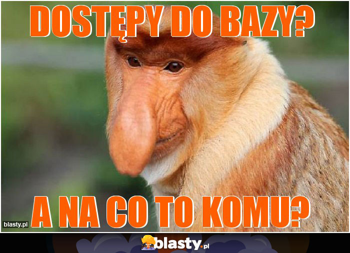 Dostępy do bazy?