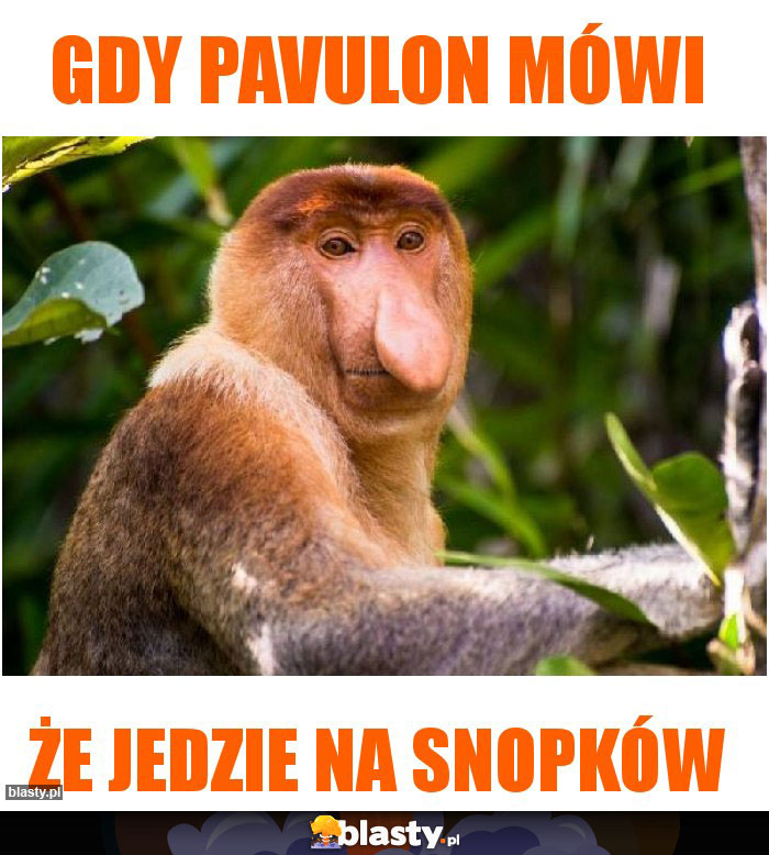 Gdy Pavulon mówi