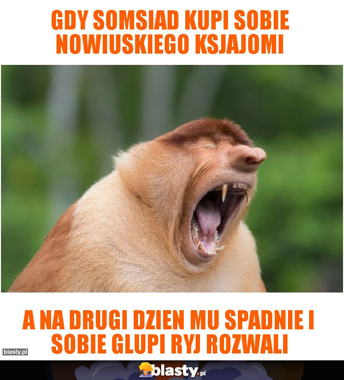 Gdy somsiad kupi sobie nowiuskiego ksjajomi