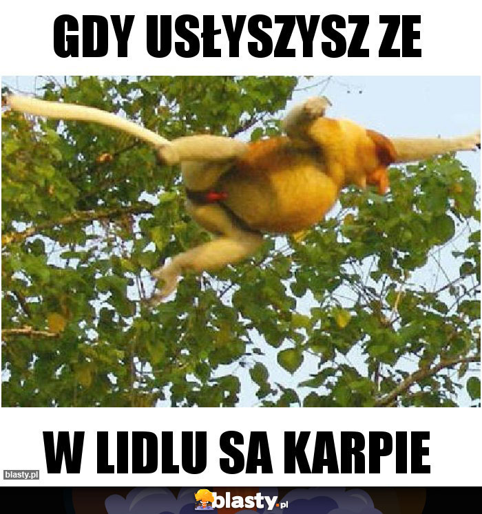 Gdy usłyszysz ze