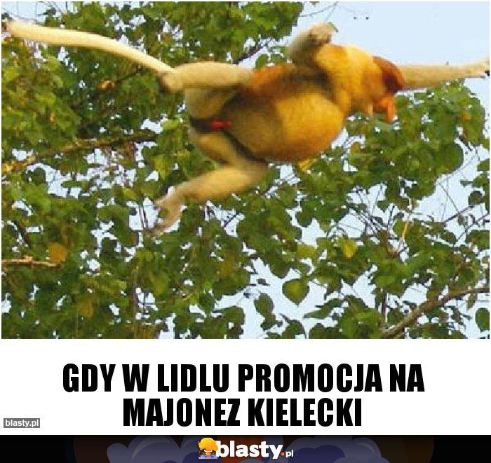 Gdy w lidlu promocja na majonez kielecki