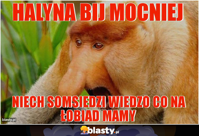 HALYNA BIJ MOCNIEJ