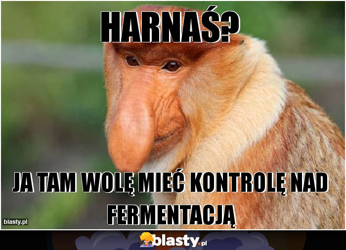 Harnaś?