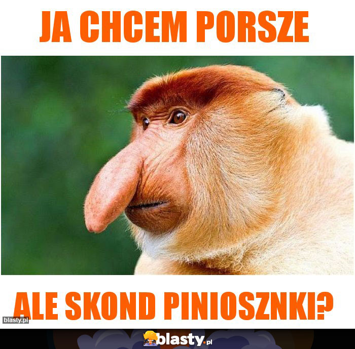 Ja chcem porsze