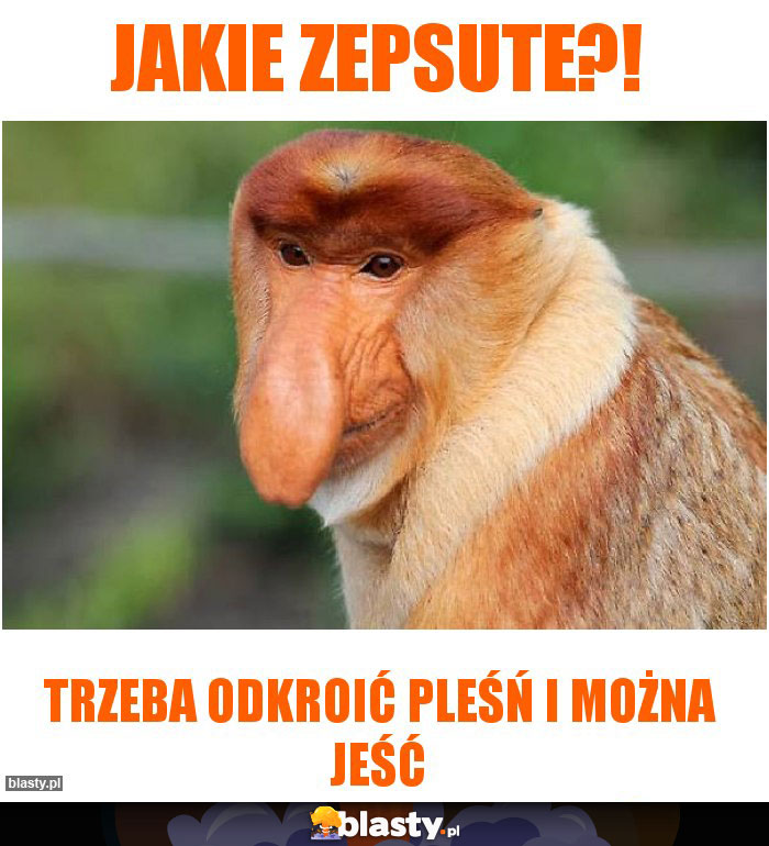 Jakie zepsute?!