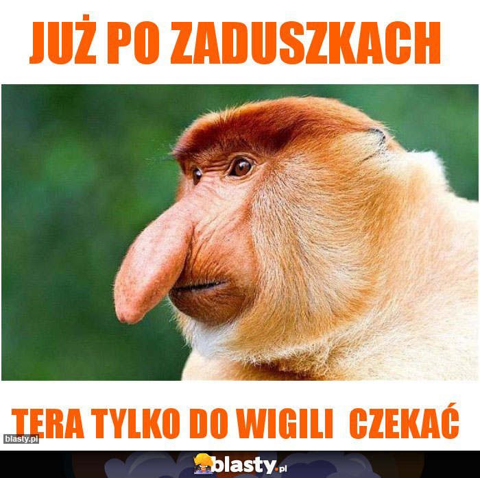 Już po zaduszkach