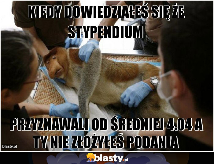 KIEDY DOWIEDZIAŁEŚ SIĘ ŻE STYPENDIUM