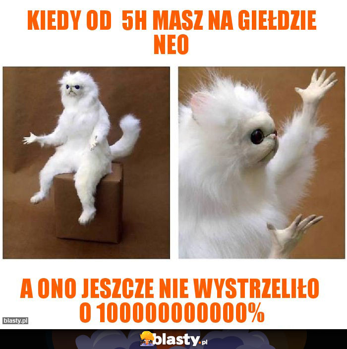 Kiedy od  5h masz na giełdzie NEO