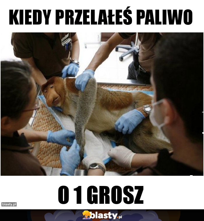 Kiedy przelałeś paliwo