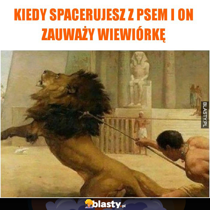 Kiedy spacerujesz z psem i on zauważy wiewiórkę