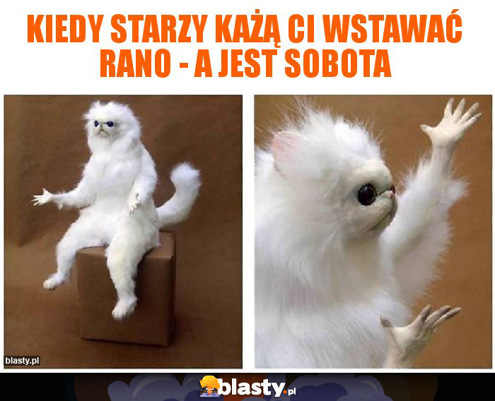 Kiedy starzy każą Ci wstawać rano - a jest sobota