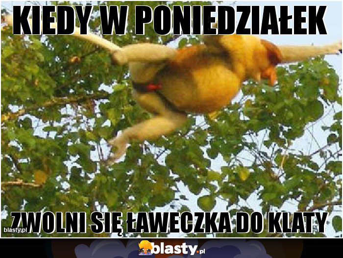 Kiedy w poniedziałek