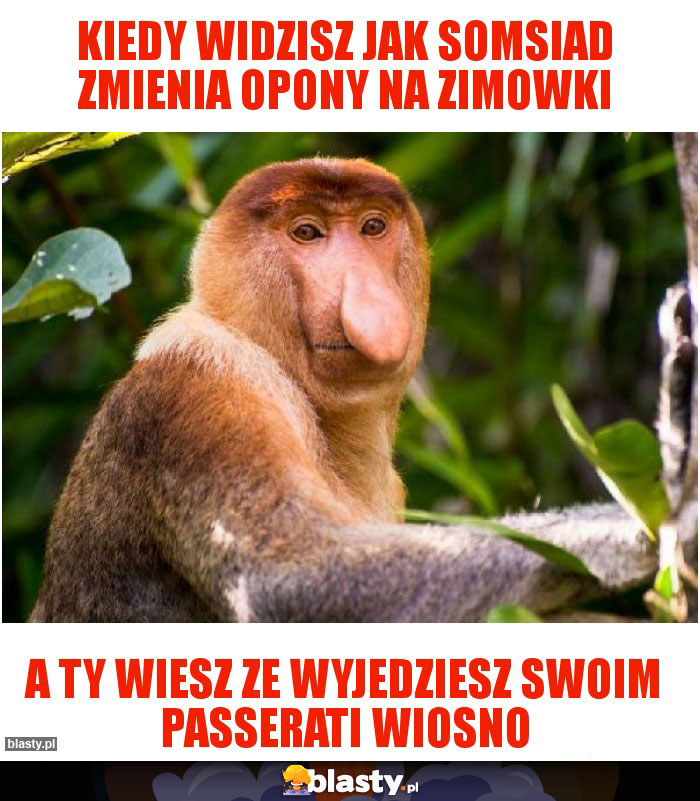 Kiedy widzisz jak somsiad zmienia opony na zimowki