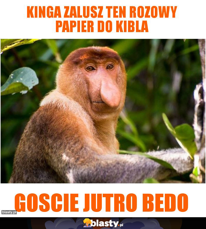 Kinga zalusz ten rozowy papier do kibla