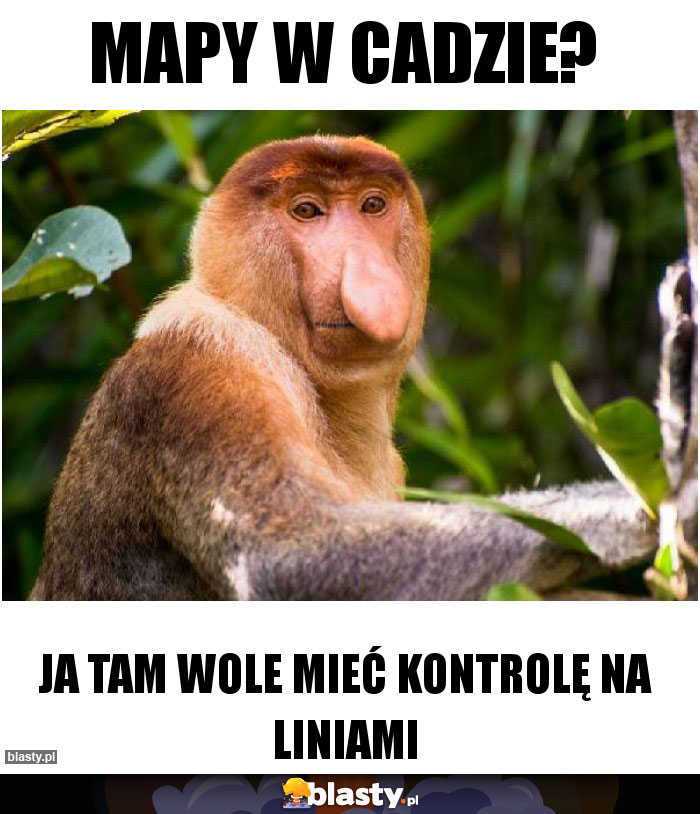 Mapy w Cadzie?