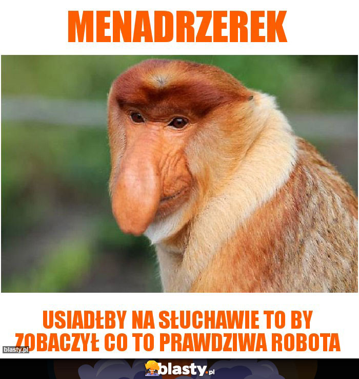 MENADRZEREK