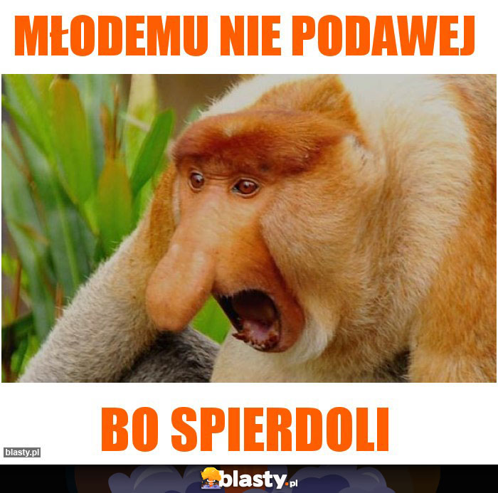 Młodemu nie podawej