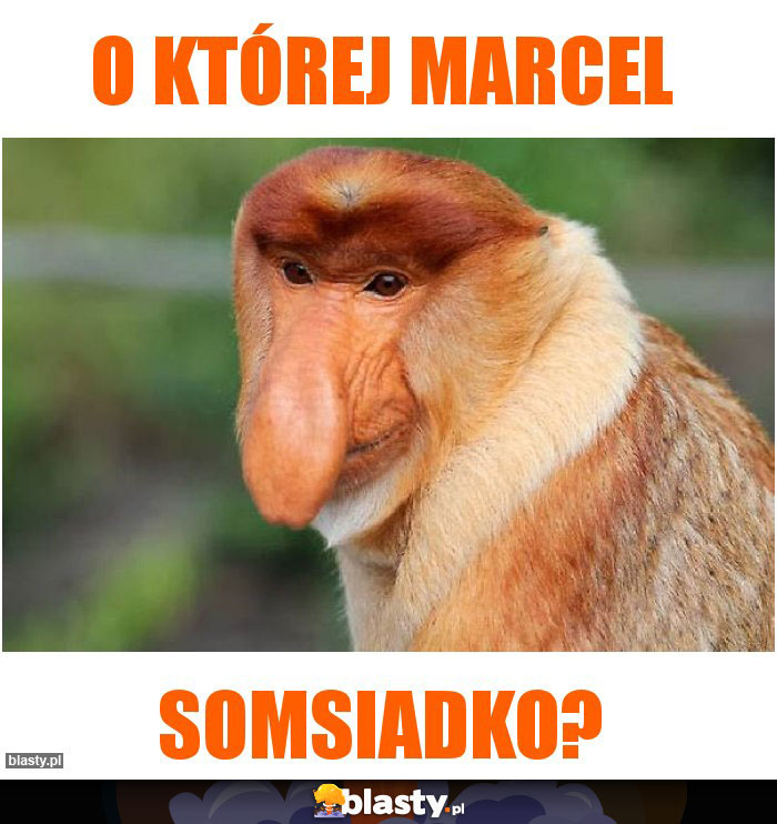 O której marcel