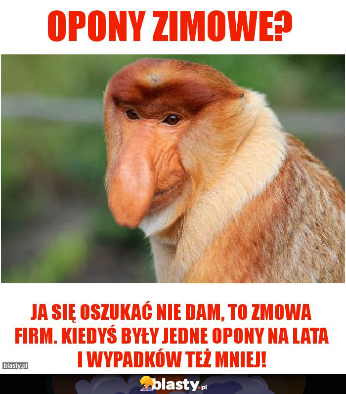 Opony zimowe?