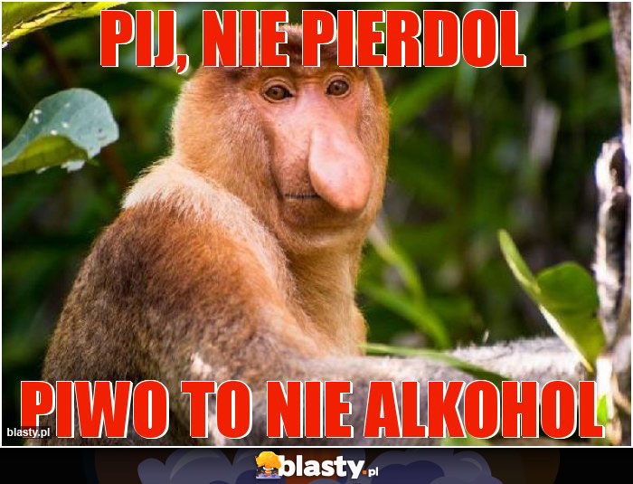 Pij, nie pierdol