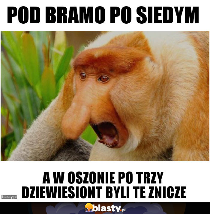 Pod bramo po siedym