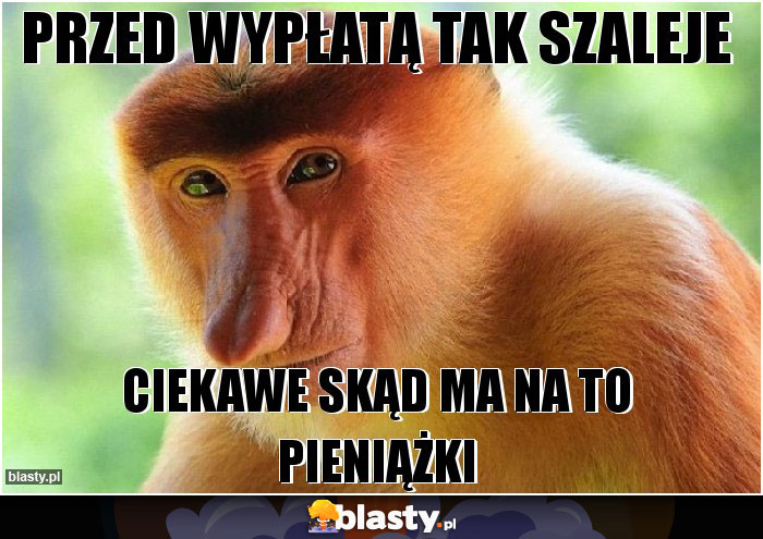 Przed wypłatą tak szaleje