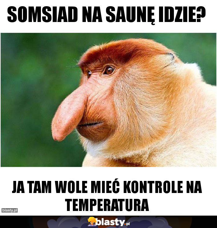 somsiad na saunę idzie?