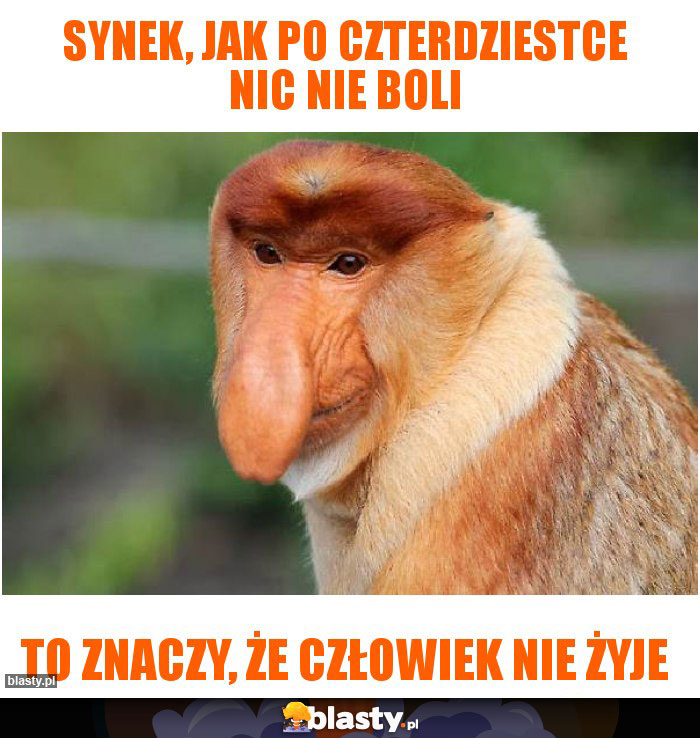 Synek, jak po czterdziestce nic nie boli