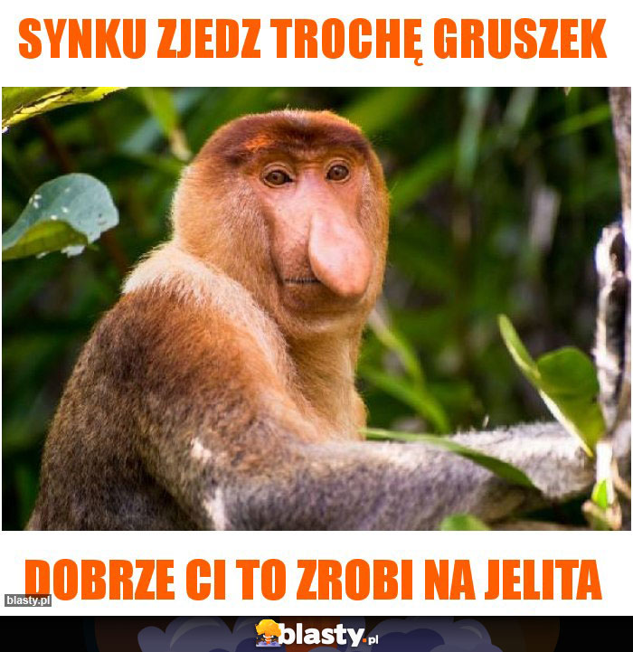 Synku zjedz trochę gruszek