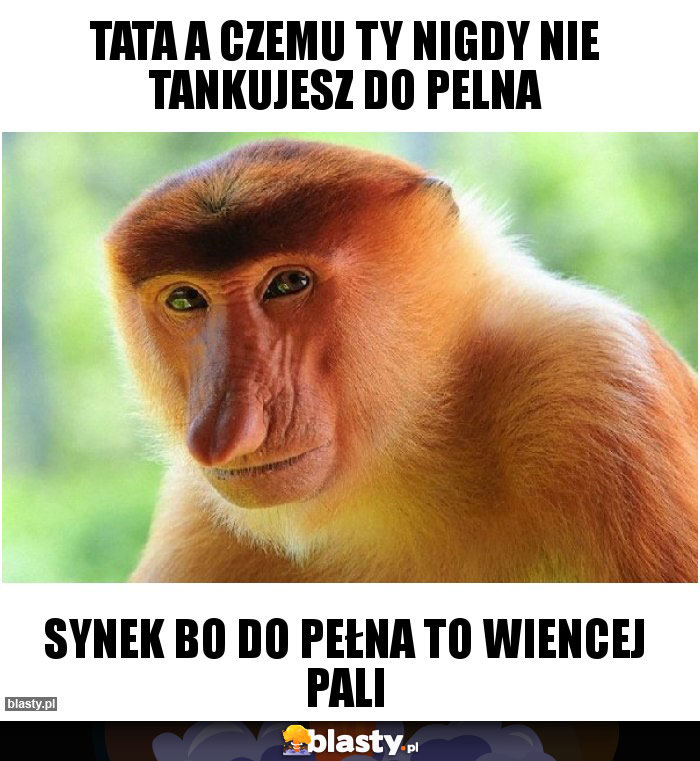 TATA A CZEMU TY NIGDY NIE TANKUJESZ DO PELNA