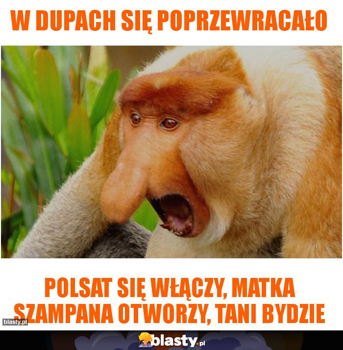 W dupach się poprzewracało