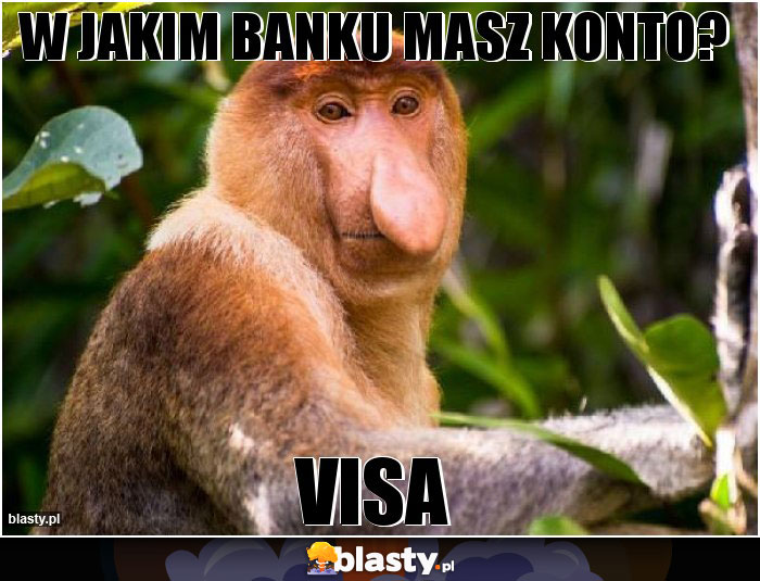 W JAKIM BANKU MASZ KONTO?