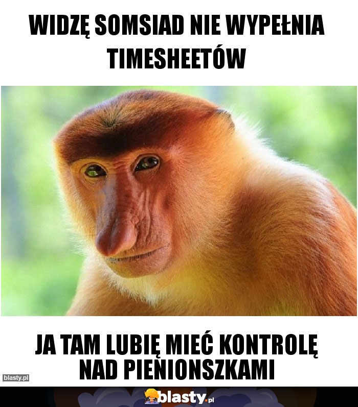 widzę somsiad nie wypełnia timesheetów