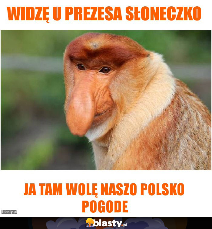 widzę u prezesa słoneczko