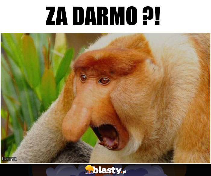 ZA DARMO ?!