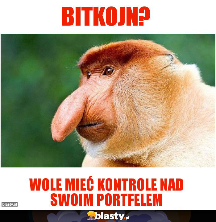 bitkojn?