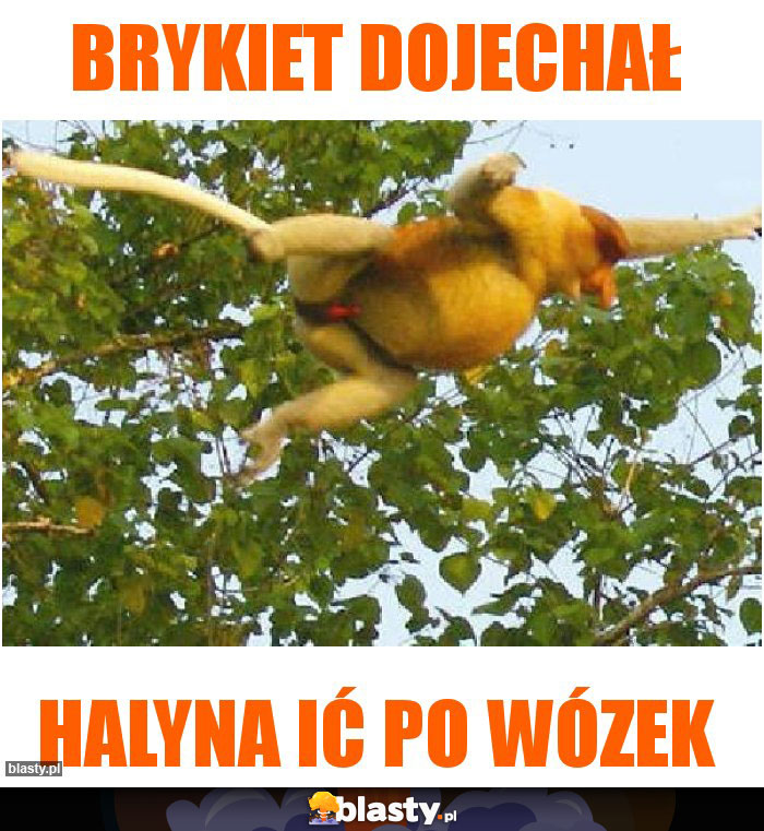 Brykiet dojechał