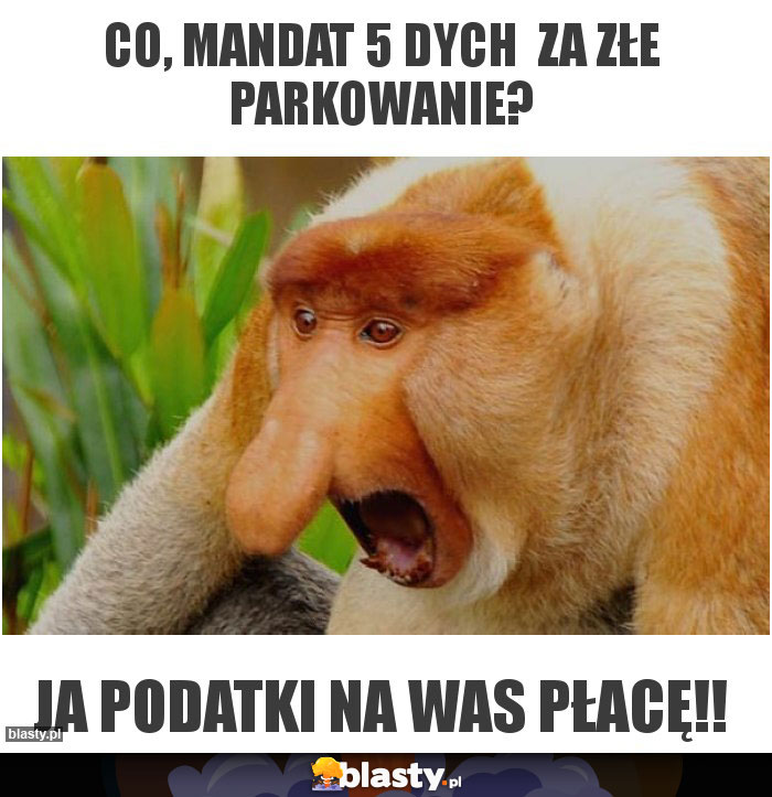 Co, mandat 5 dych  za złe parkowanie?