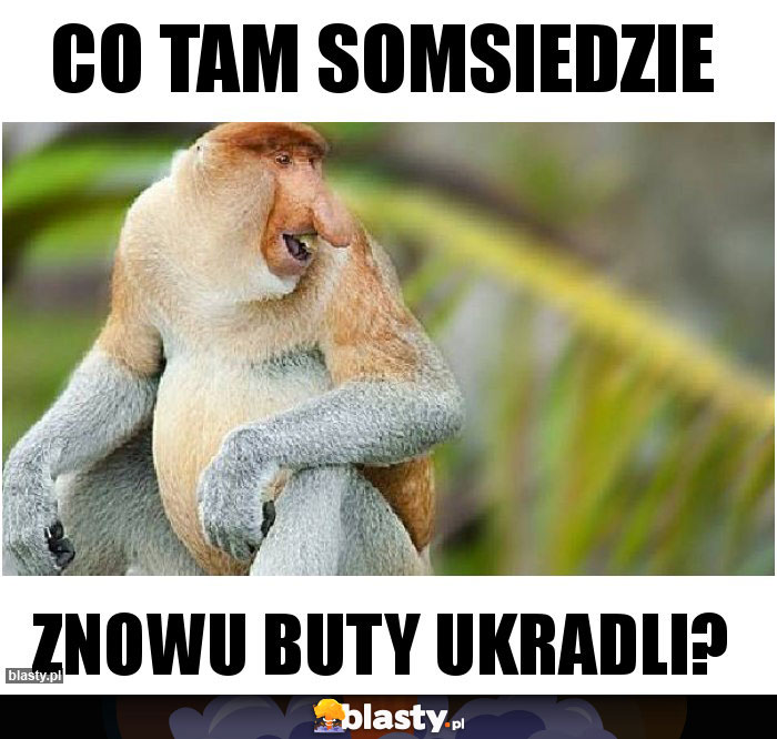 Co tam somsiedzie