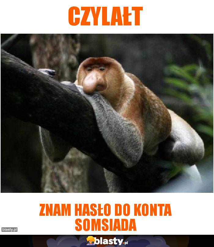 Czylałt