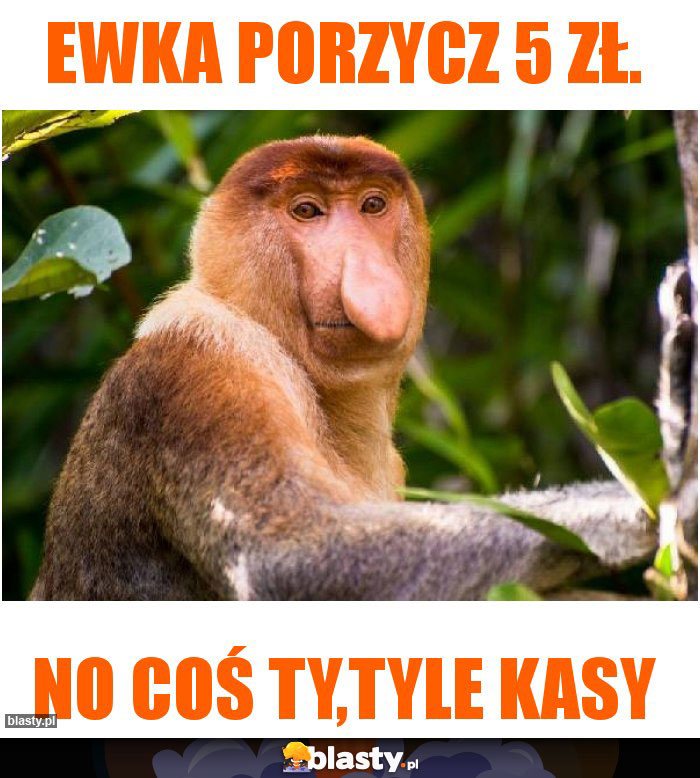 Ewka porzycz 5 zł.