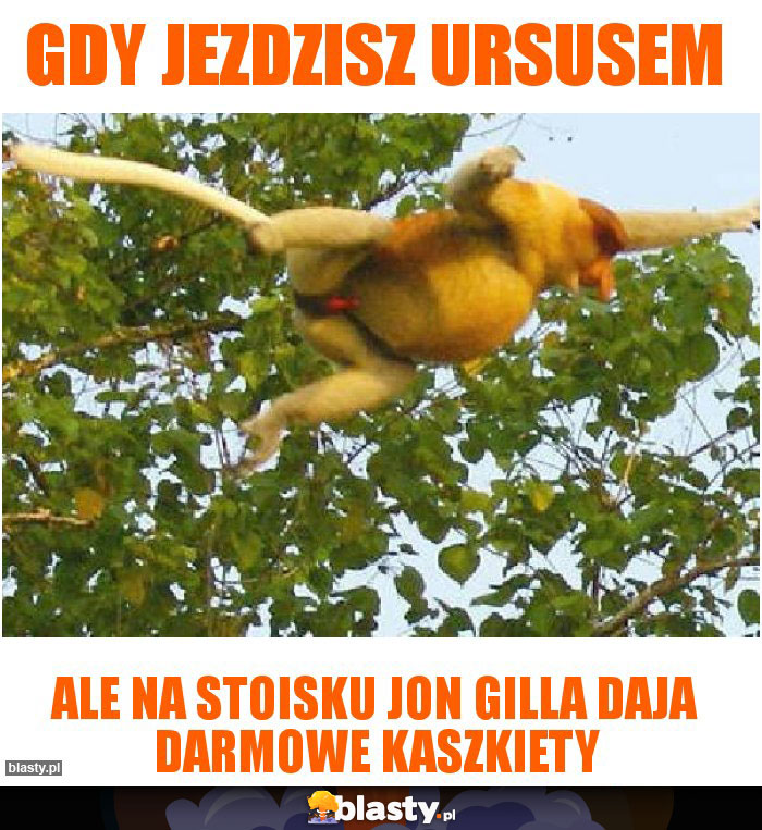 Gdy jezdzisz ursusem