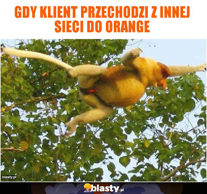 Gdy klient przechodzi z innej sieci do orange